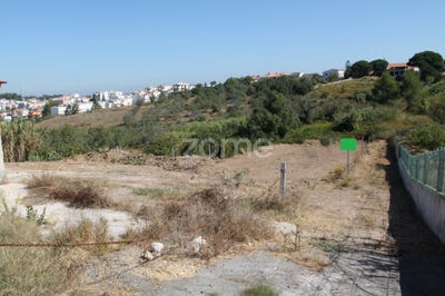 /international/pt/sesimbra-setubal-municipality-310100555420/