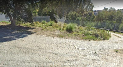 /international/pt/areias-sequeiro-lama-e-palmeira-santo-tirso-braga-120090926877/