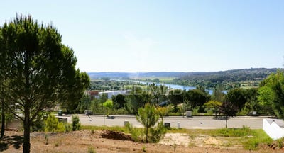 /international/pt/constancia-constancia-santarem-120088130787/