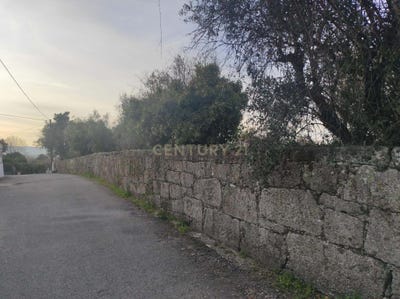 /international/pt/porrinheiro-silgueiros-portugal-silgueiros-viseu-310105966491/