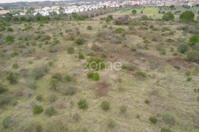 /international/pt/cantanhede-coimbra-310097306086/?lang=zh-tw