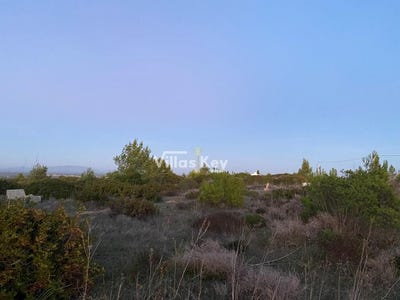 /international/pt/budens-faro-310104477365/