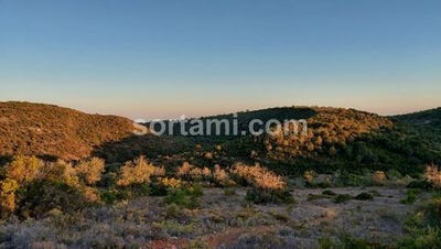 /international/pt/albufeira-faro-310108006585/