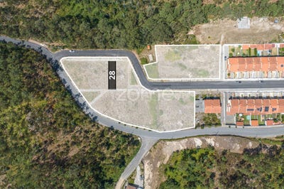/international/pt/oliveira-de-azemeis-aveiro-310101687330/