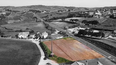 /international/pt/carvalhal-leiria-310105774137/