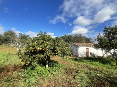 /international/pt/sitio-da-mosqueira-ferreiras-faro-310105185427/