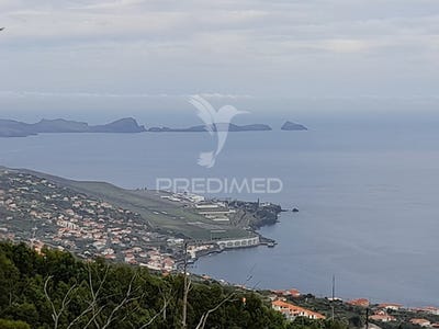 /international/pt/gaula-santa-cruz-madeira-120090104626/
