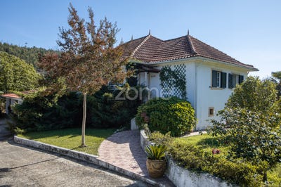 /international/pt/vila-nova-de-poiares-coimbra-120088829958/