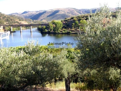 /international/pt/ligares-braganca-120094330313/