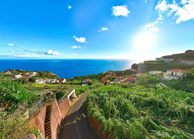 /international/pt/canhas-madeira-310104087342/