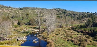 /international/pt/portalegre-portalegre-310109122771/?lang=id