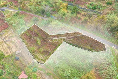 /international/pt/sao-vicente-madeira-120088596835/?lang=zh-tw