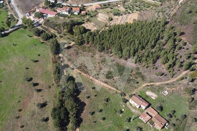 /international/pt/souto-da-casa-castelo-branco-310102894256/