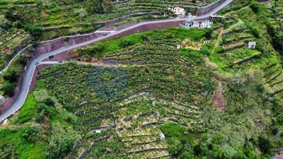 /international/pt/madalena-do-mar-madeira-310107817075/