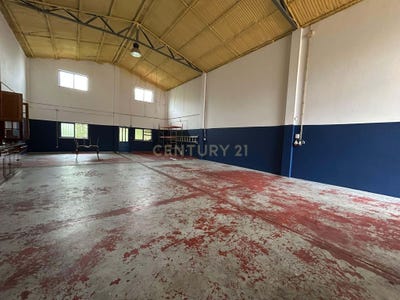 /international/pt/r-principal-41-3105-portugal-carnide-leiria-310104593031/