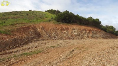 /international/pt/castro-marim-faro-310105818034/