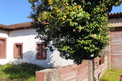 /international/pt/penafiel-porto-310099780738/