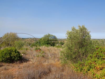 /international/pt/loule-faro-310108286172/