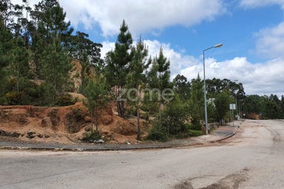 /international/pt/ourem-santarem-120067791023/