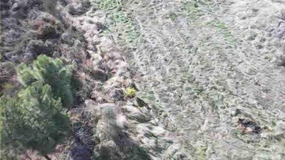 /international/pt/samoes-vila-flor-portugal-samoes-braganca-310104281289/