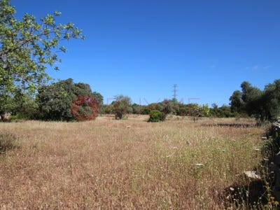 /international/pt/sao-bras-de-alportel-faro-310100006774/