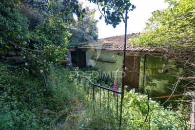 /international/pt/bouro-santa-maria-amares-braga-310101551480/