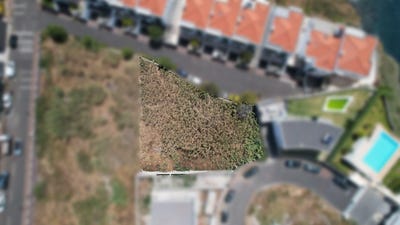 /international/pt/sitio-do-vale-ilha-da-madeira-madeira-310105100559/