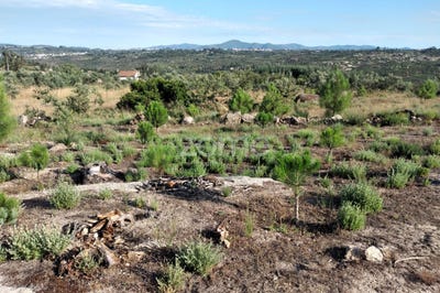 /international/pt/oliveira-do-hospital-coimbra-120086050072/?lang=zh-cn