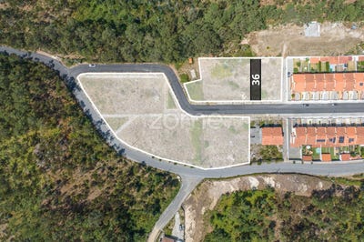 /international/pt/oliveira-de-azemeis-aveiro-310101879775/