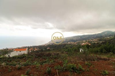 /international/pt/santa-cruz-madeira-310108156071/