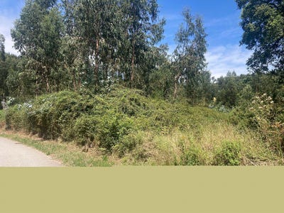 /international/pt/valongo-braganca-310093874583/