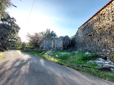 /international/pt/abra-santarem-310098811259/