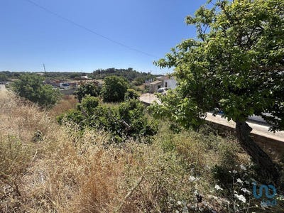 /international/pt/barao-de-sao-miguel-faro-310103179904/