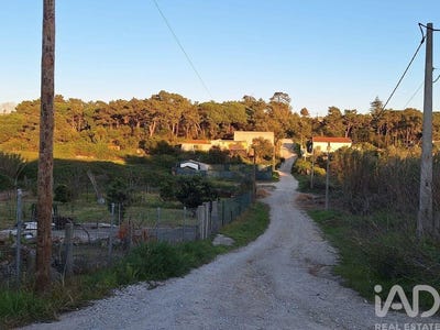 /international/pt/setubal-setubal-municipality-310107269184/