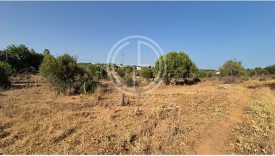 /international/pt/faro-faro-120093509076/