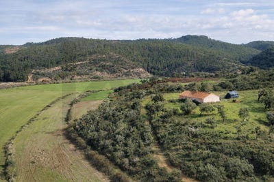 /international/pt/odemira-beja-310104167313/