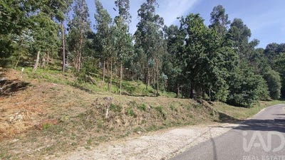 /international/pt/viana-do-castelo-viana-do-castelo-310104629741/