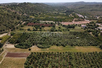 /international/pt/silves-faro-310108320437/