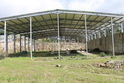 /international/pt/vila-nova-de-famalicao-braga-120091939542/