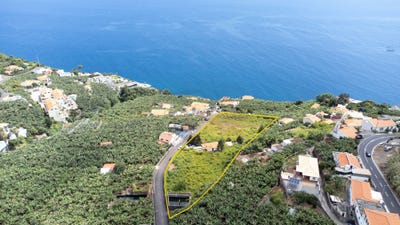 /international/pt/rua-do-conde-no-49-arco-da-calheta-portugal-ilha-da-madeira-madeira-310101471817/