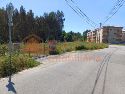 /international/pt/baguim-do-monte-rio-tinto-porto-310100492051/