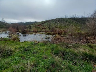 /international/pt/r7g4-jp-alvito-da-beira-portugal-sarzedas-castelo-branco-310105251048/