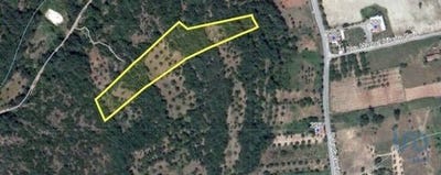 /international/pt/ferreira-do-zezere-santarem-310100860822/