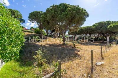 /international/pt/vilamoura-faro-120079388831/