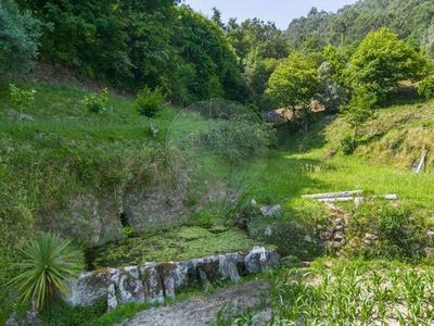 /international/pt/amares-braga-310106288169/