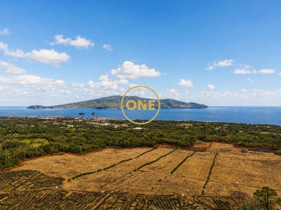 /international/pt/madalena-pico-azores-310109090027/
