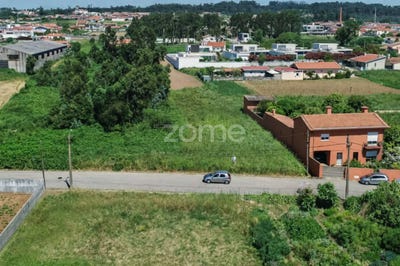 /international/pt/espinho-castelo-branco-310104248222/