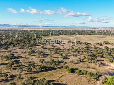 /international/pt/samora-correia-santarem-310108648920/?lang=th