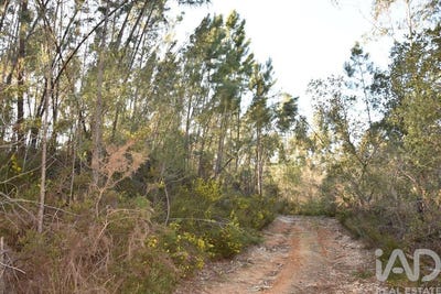 /international/pt/santarem-santarem-310106625137/