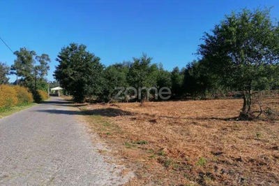 /international/pt/amarante-porto-310102839353/